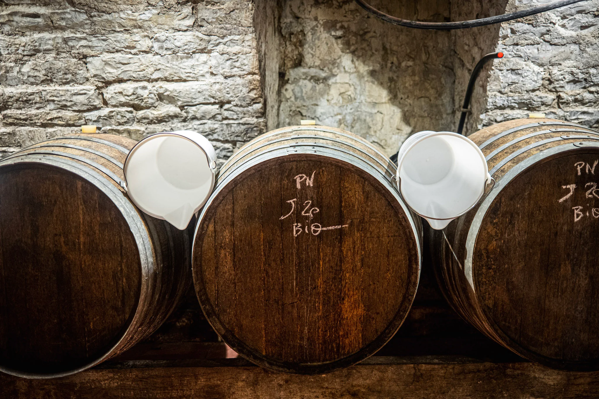 Authentic Expressions From European Terroir